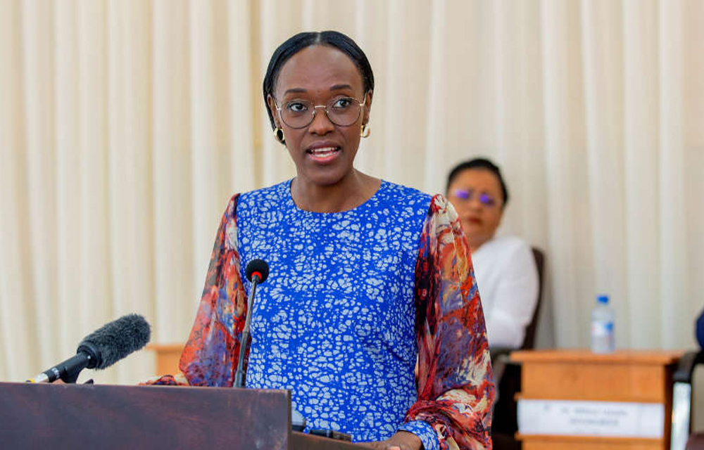 Shadiya Alimatou Assouman, Ministre de l'Industrie et du Commerce
