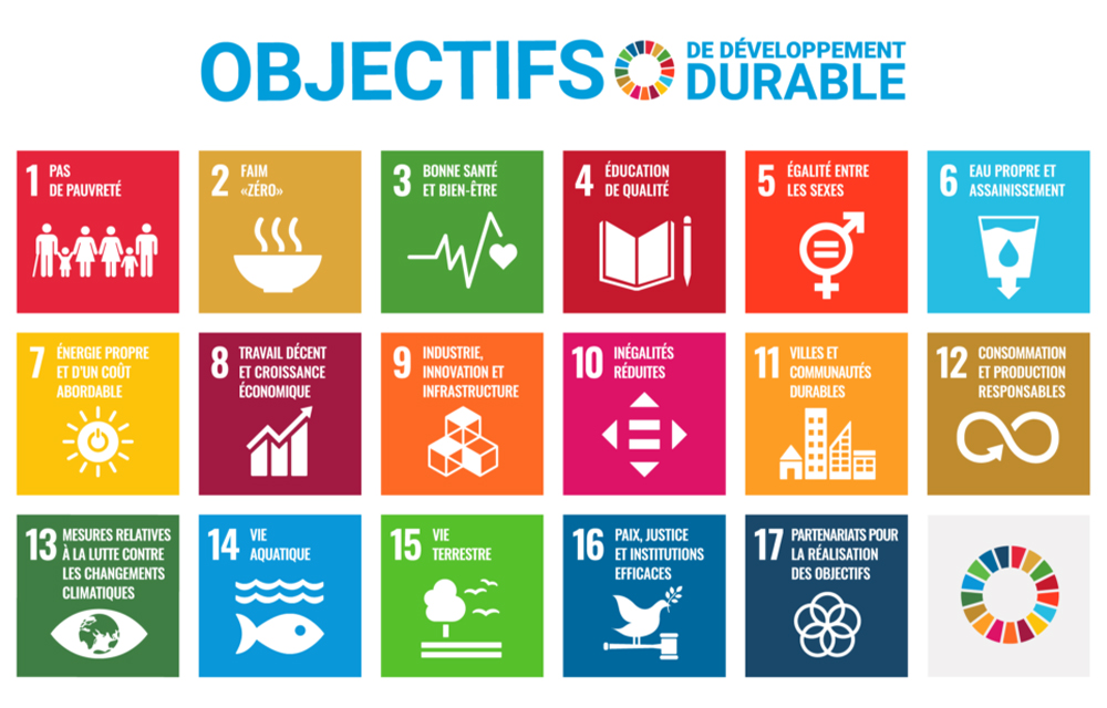 Rapport sur le Développement Durable, Avancée du Bénin dans la réalisation des ODD