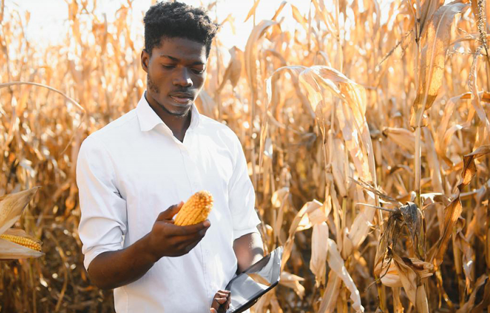 Conseil des ministres PME Agricoles CADRECO