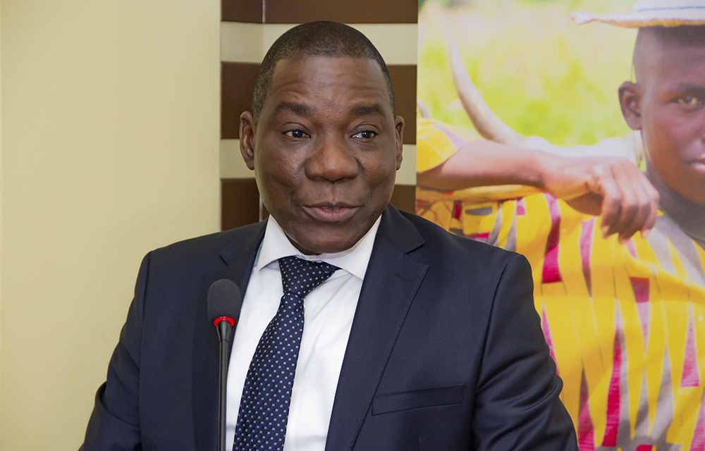 Nicolas AHOUISSOUSSI, Directeur Général du FNDA