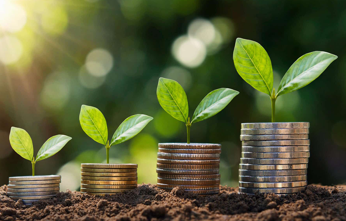 Lancement du cadre de financement vert au Bénin