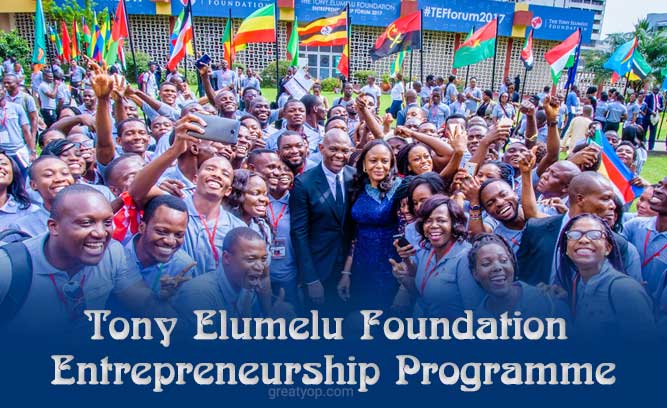 Fondation Tony Elumelu lance son programme annuel de formation des entrepreneurs