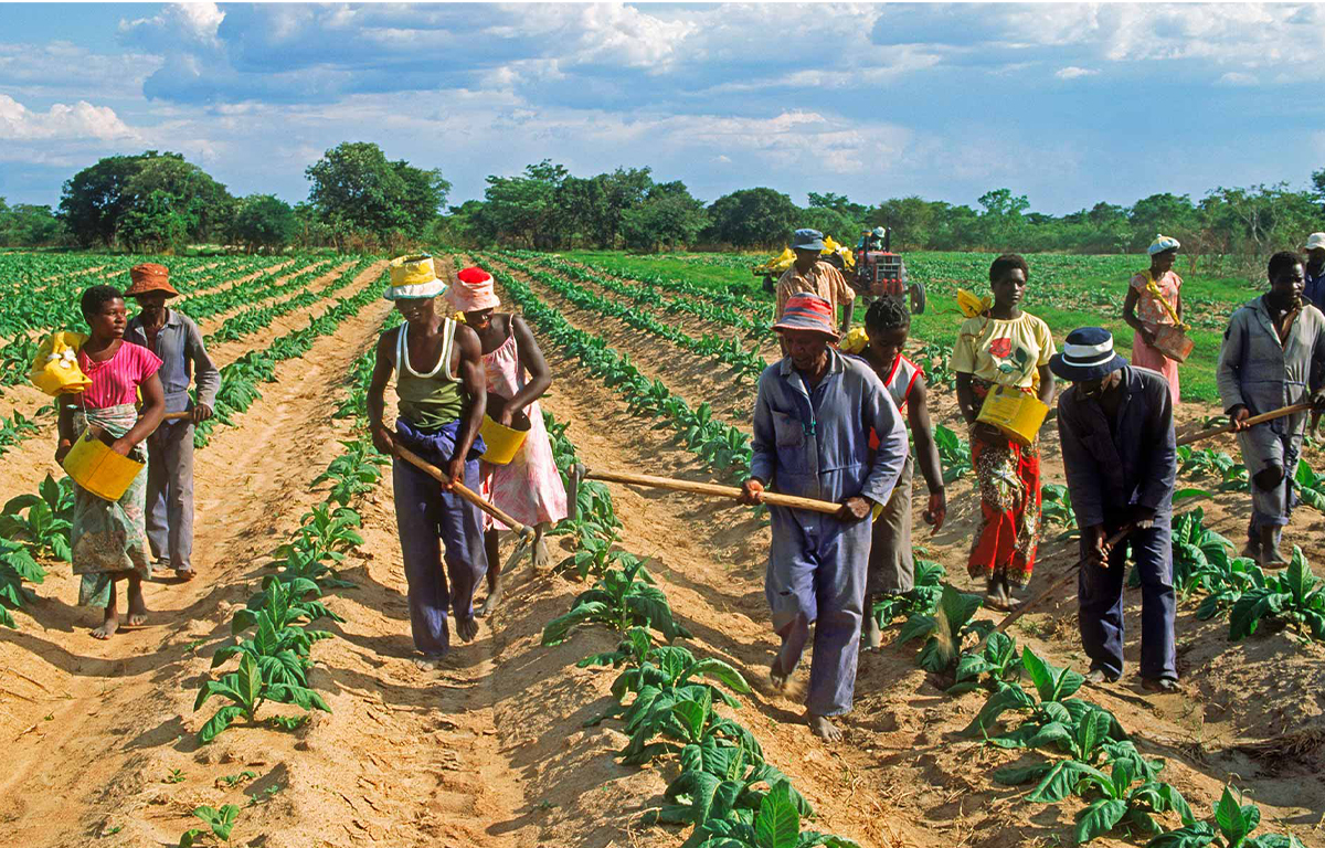 Image d'illustration - Agriculteurs