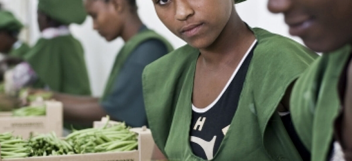La croissante employabilité des femmes dans le secteur industriel
