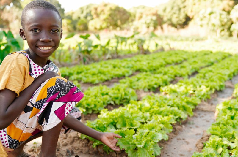 Bénin: mobilisation de 300 milliards de francs Cfa en 2026 pour la sécurité alimentaire 