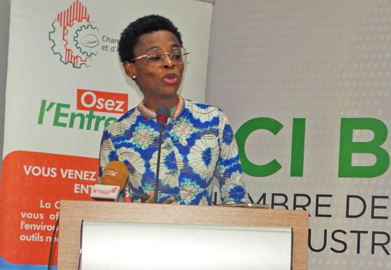 Entrepreneuiat: Séance de formation des jeunes entrepreneurs à la CCI Bénin 