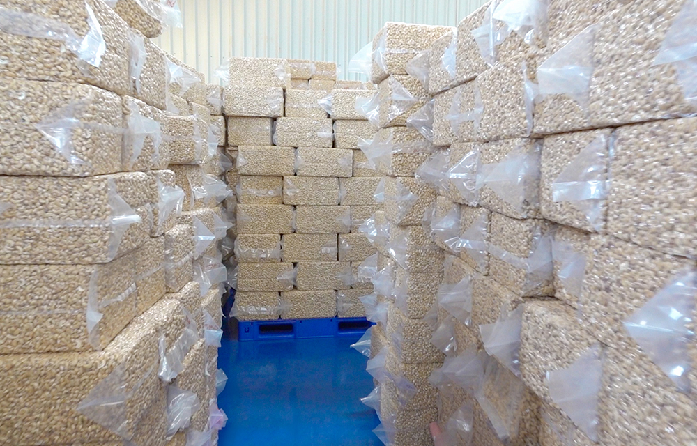 Entrepôt de stockage de cajou - Zone industrielle de Glo-Djigbé (Gdiz)