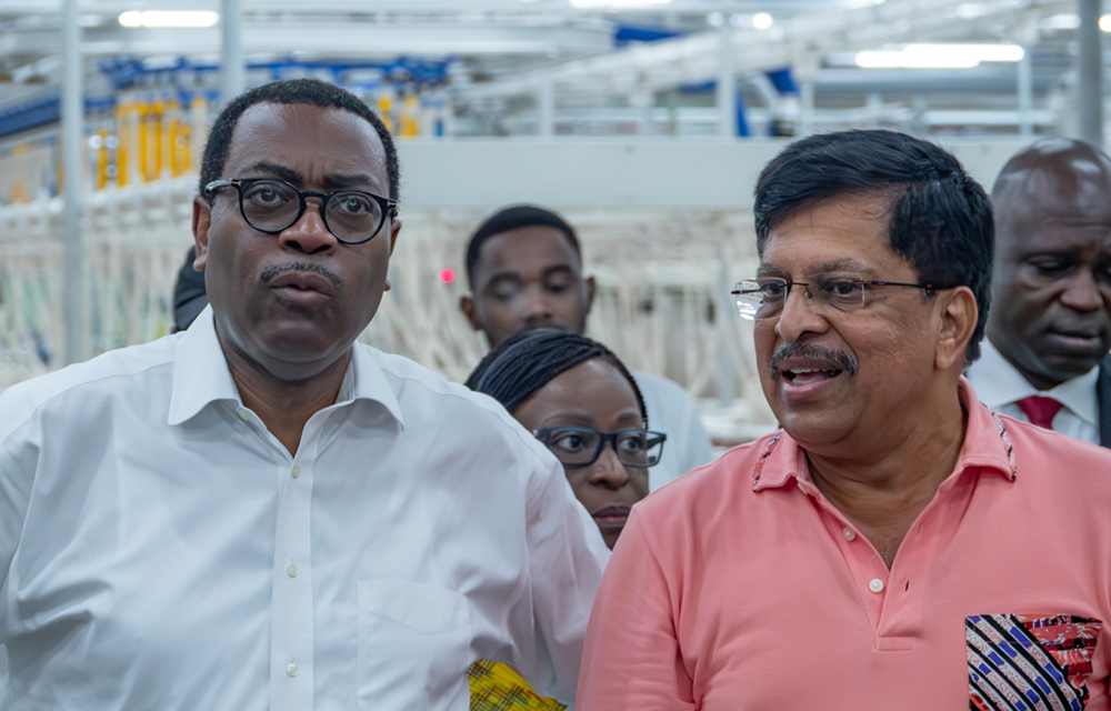 Visite du président de la BAD à la GDIZ