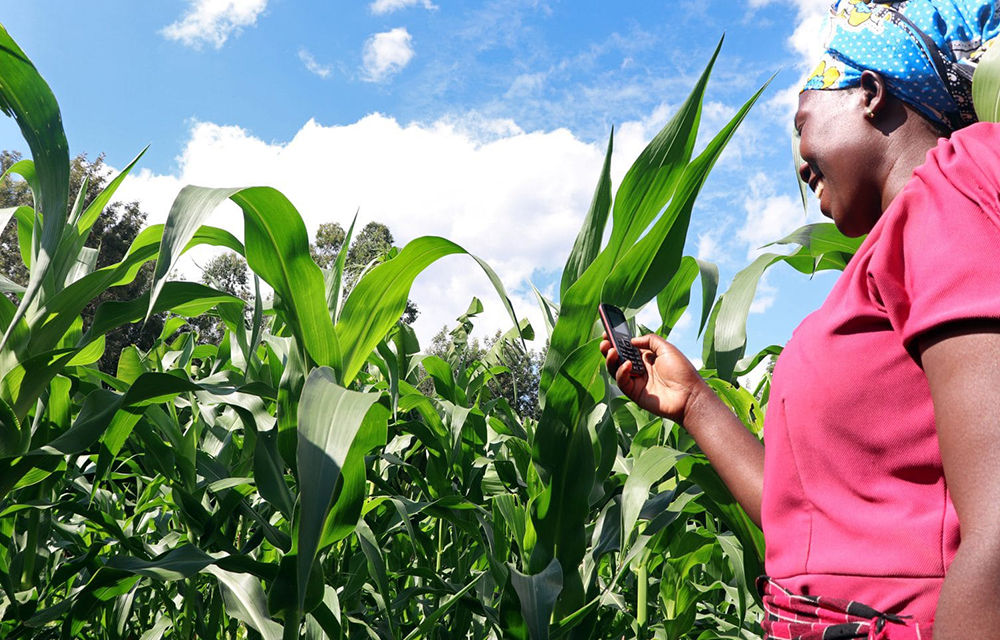 Lancement du projet d'assurance agricole au Bénin