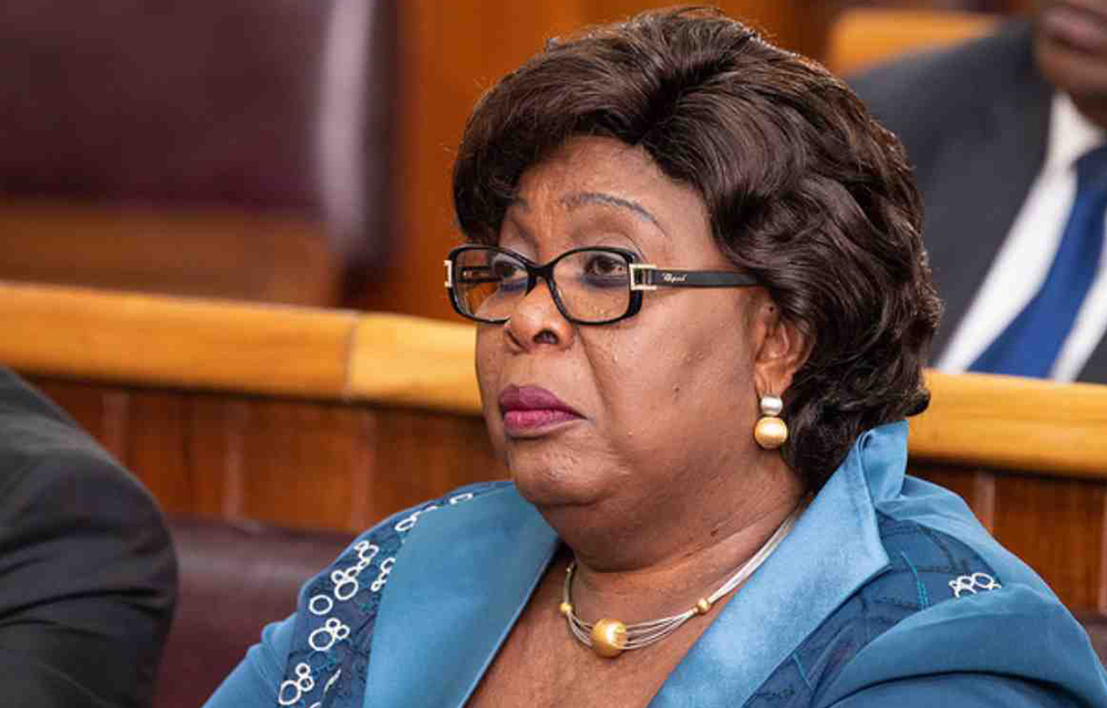 Adidjatou Mathys, Ministre du Travail et de la Fonction Publique