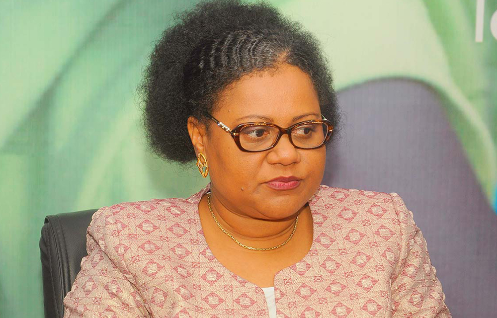 Véronique Tognifodé, Ministre des Affaires Sociales et de la Microfinance