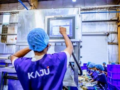 Transformation de cajou : Le Bénin multiplie par deux ses volumes en 2025