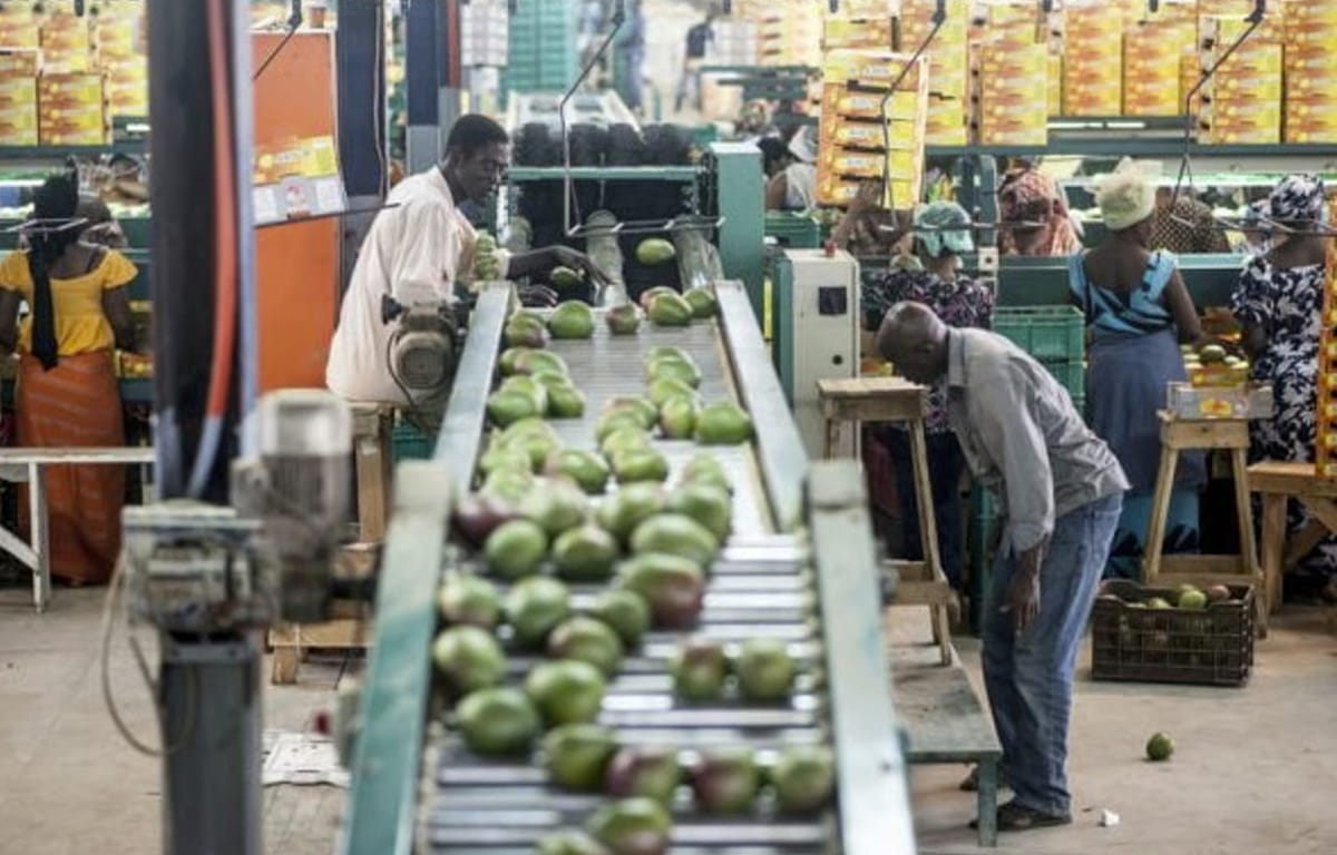 Les locaux de l’entreprise Safina, à Dakar, au Sénégal
