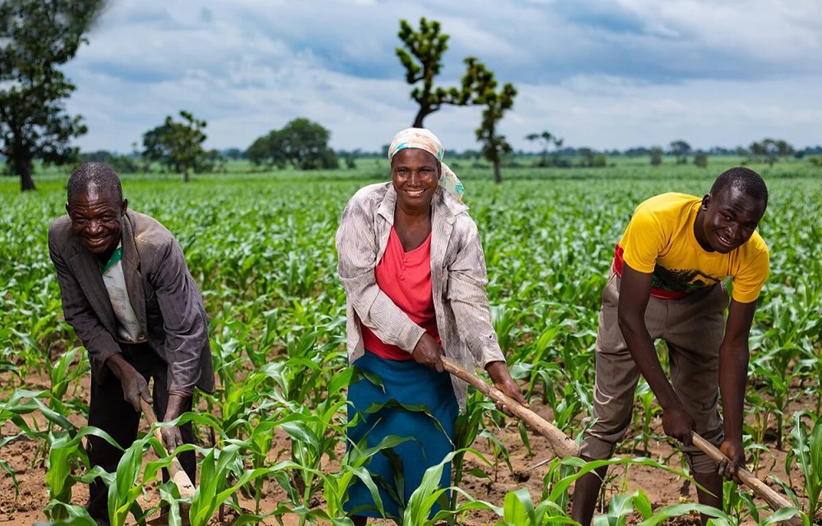Agriculture au Nigéria : la BAD engage 86 millions de dollars pour le programme SAPZ