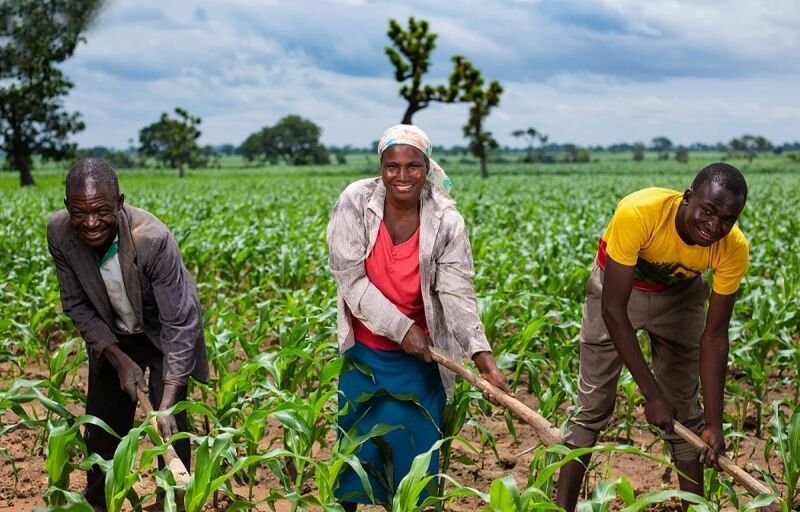 Agriculture au Nigéria : la BAD engage 86 millions de dollars pour le programme SAPZ