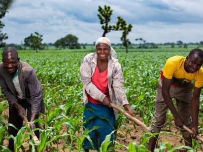 Agriculture au Nigéria : la BAD engage 86 millions de dollars pour le programme SAPZ