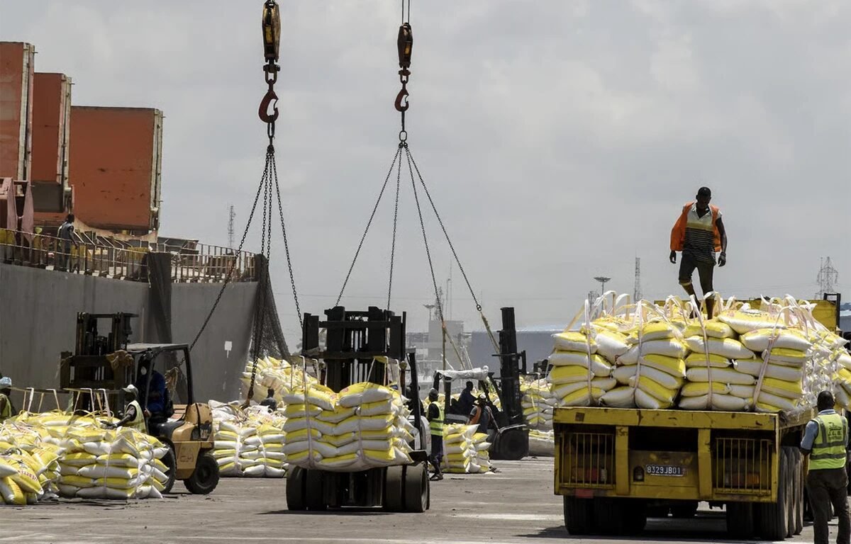 Bénin : le riz et le numérique pour générer 65 milliards FCFA 