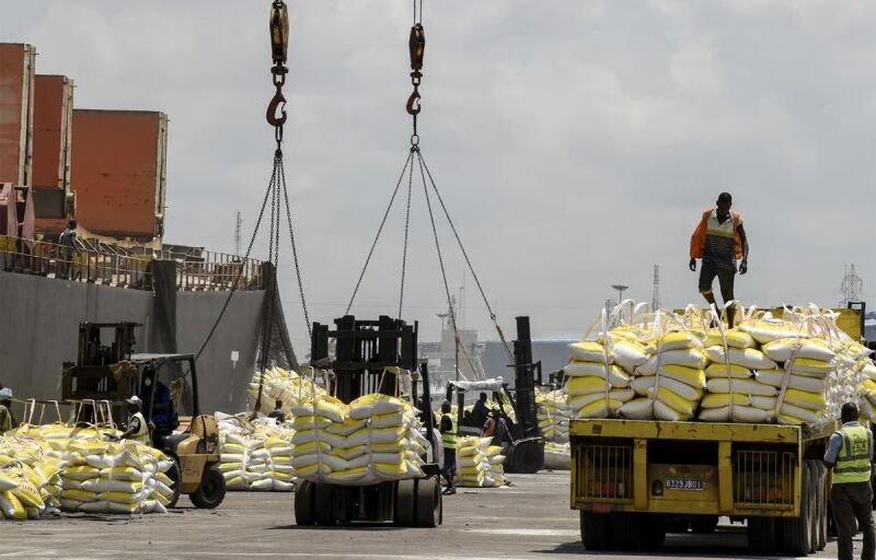 Bénin : le riz et le numérique pour générer 65 milliards FCFA