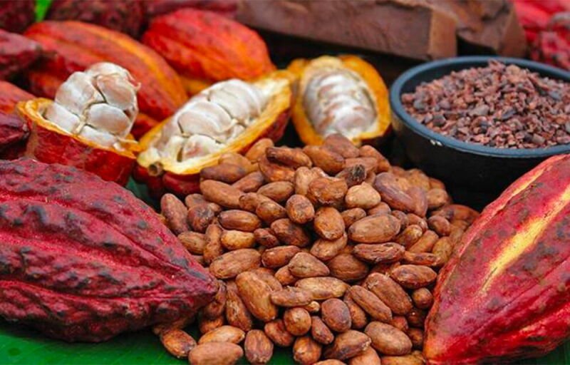 Cacao : l’Afrique veut reprendre la main sur le marché mondial