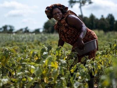 Côte d’Ivoire : La finance climat à l’épreuve des campagnes