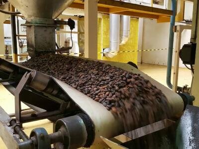 Du cacao au chocolat : La Côte d'Ivoire mise davantage sur la transformation locale 