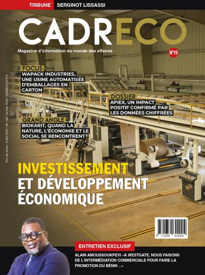 Investissement et développement économique